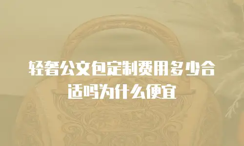 轻奢公文包定制费用多少合适吗为什么便宜