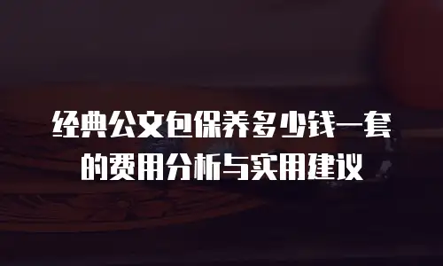 经典公文包保养多少钱一套的费用分析与实用建议