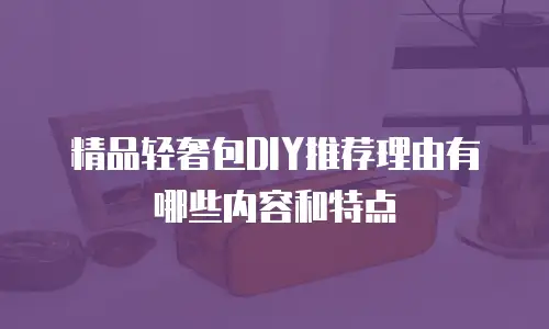 精品轻奢包DIY推荐理由有哪些内容和特点