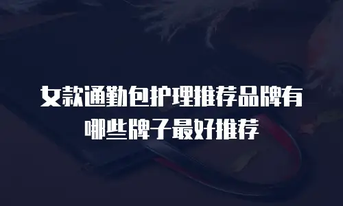 女款通勤包护理推荐品牌有哪些牌子最好推荐