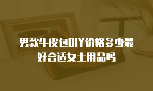 男款牛皮包DIY价格多少最好合适女士用品吗