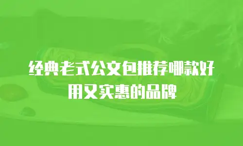 经典老式公文包推荐哪款好用又实惠的品牌