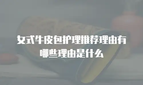 女式牛皮包护理推荐理由有哪些理由是什么