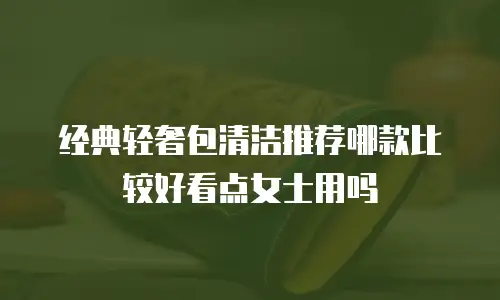 经典轻奢包清洁推荐哪款比较好看点女士用吗