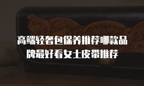 高端轻奢包保养推荐哪款品牌最好看女士皮带推荐