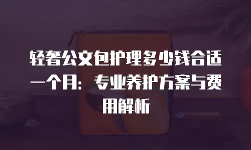 轻奢公文包护理多少钱合适一个月：专业养护方案与费用解析