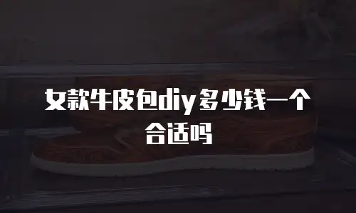 女款牛皮包diy多少钱一个合适吗
