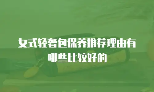 女式轻奢包保养推荐理由有哪些比较好的