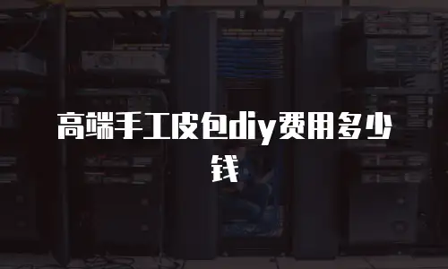 高端手工皮包diy费用多少钱