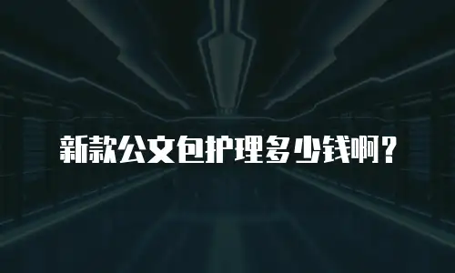 新款公文包护理多少钱啊？