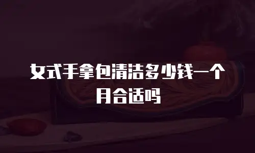 女式手拿包清洁多少钱一个月合适吗