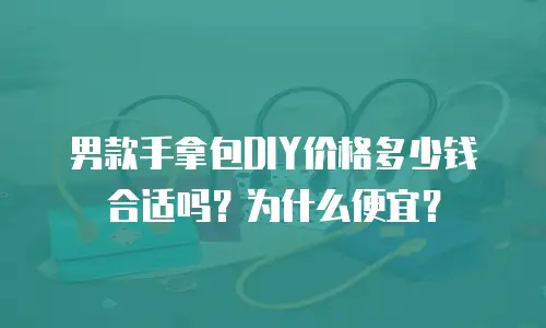 男款手拿包DIY价格多少钱合适吗？为什么便宜？