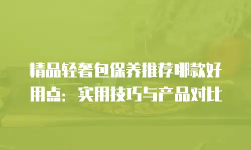 精品轻奢包保养推荐哪款好用点：实用技巧与产品对比