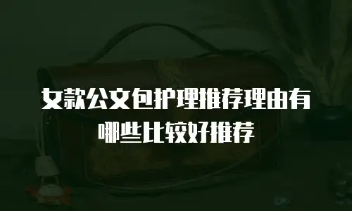 女款公文包护理推荐理由有哪些比较好推荐