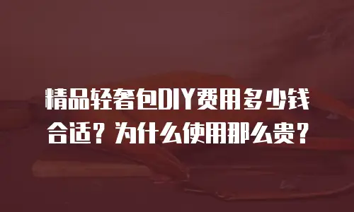 精品轻奢包DIY费用多少钱合适？为什么使用那么贵？
