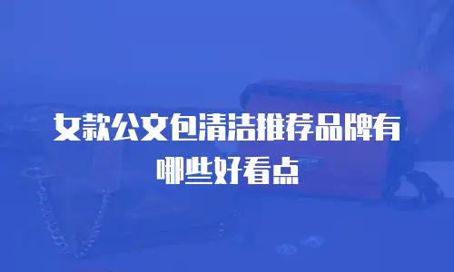 女款公文包清洁推荐品牌有哪些好看点
