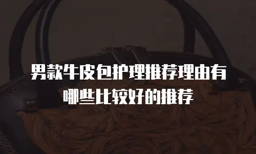 男款牛皮包护理推荐理由有哪些比较好的推荐