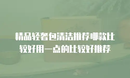 精品轻奢包清洁推荐哪款比较好用一点的比较好推荐