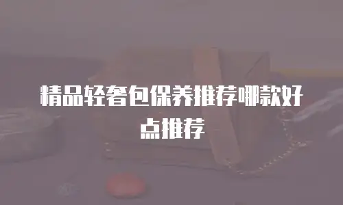 精品轻奢包保养推荐哪款好点推荐