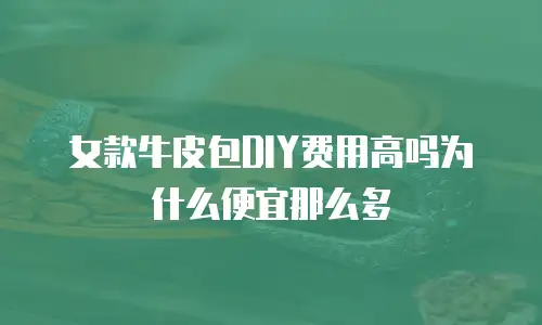 女款牛皮包DIY费用高吗为什么便宜那么多