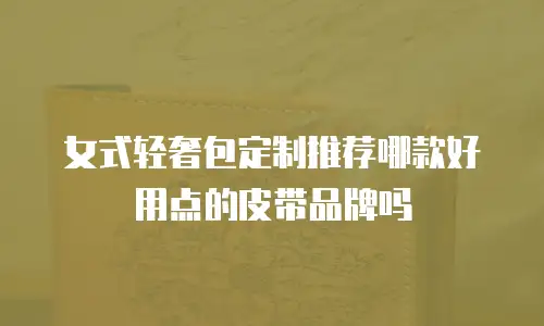 女式轻奢包定制推荐哪款好用点的皮带品牌吗
