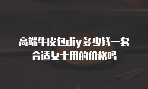 高端牛皮包diy多少钱一套合适女士用的价格吗