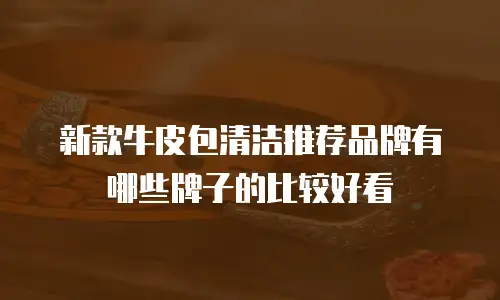 新款牛皮包清洁推荐品牌有哪些牌子的比较好看