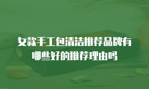 女款手工包清洁推荐品牌有哪些好的推荐理由吗