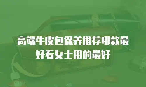 高端牛皮包保养推荐哪款最好看女士用的最好