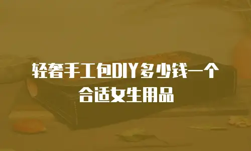 轻奢手工包DIY多少钱一个合适女生用品