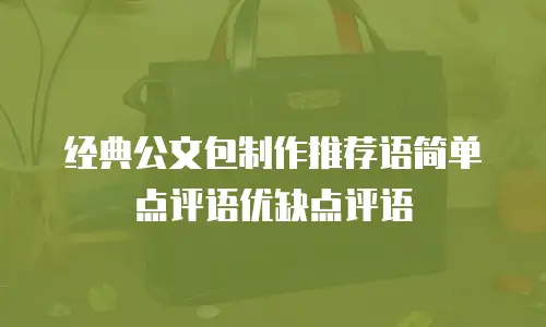 经典公文包制作推荐语简单点评语优缺点评语