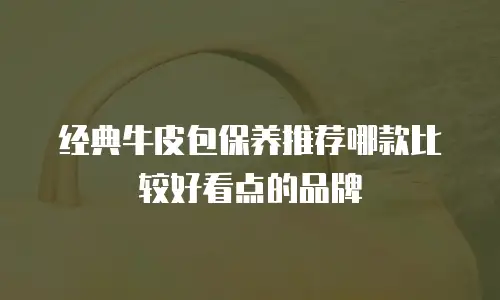 经典牛皮包保养推荐哪款比较好看点的品牌