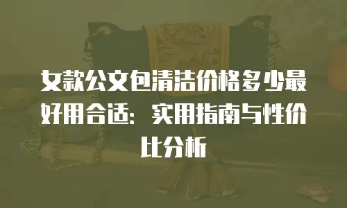 女款公文包清洁价格多少最好用合适：实用指南与性价比分析