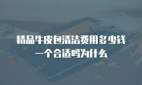 精品牛皮包清洁费用多少钱一个合适吗为什么