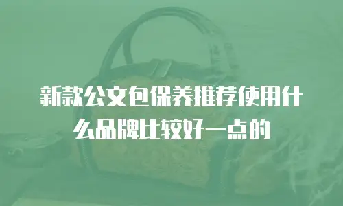 新款公文包保养推荐使用什么品牌比较好一点的