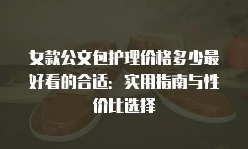 女款公文包护理价格多少最好看的合适：实用指南与性价比选择