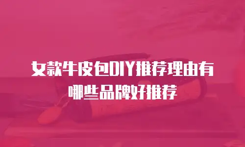 女款牛皮包DIY推荐理由有哪些品牌好推荐