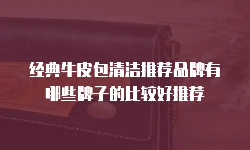 经典牛皮包清洁推荐品牌有哪些牌子的比较好推荐