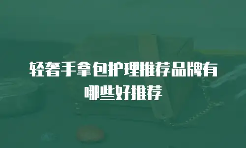 轻奢手拿包护理推荐品牌有哪些好推荐