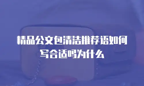 精品公文包清洁推荐语如何写合适吗为什么