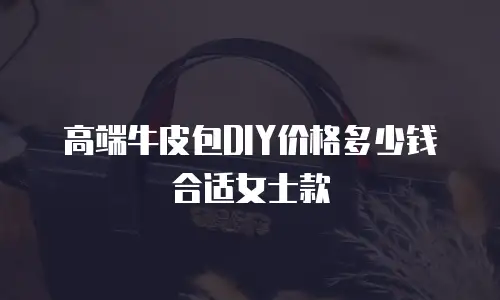 高端牛皮包DIY价格多少钱合适女士款