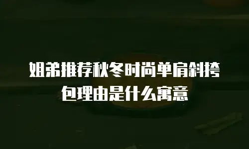 姐弟推荐秋冬时尚单肩斜挎包理由是什么寓意