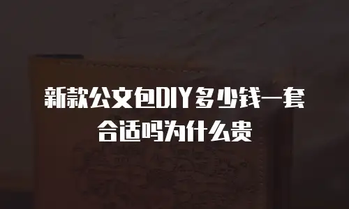 新款公文包DIY多少钱一套合适吗为什么贵
