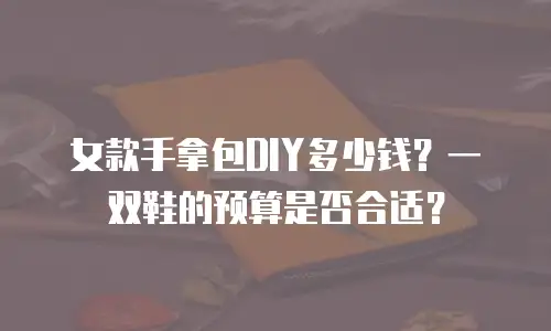 女款手拿包DIY多少钱？一双鞋的预算是否合适？