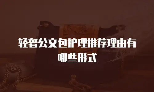 轻奢公文包护理推荐理由有哪些形式