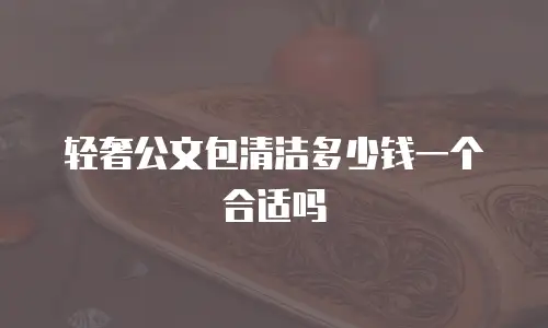 轻奢公文包清洁多少钱一个合适吗