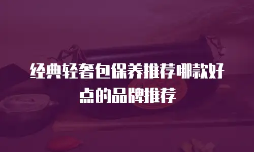 经典轻奢包保养推荐哪款好点的品牌推荐