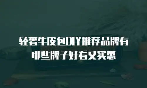 轻奢牛皮包DIY推荐品牌有哪些牌子好看又实惠
