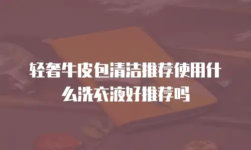 轻奢牛皮包清洁推荐使用什么洗衣液好推荐吗