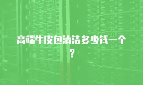 高端牛皮包清洁多少钱一个？